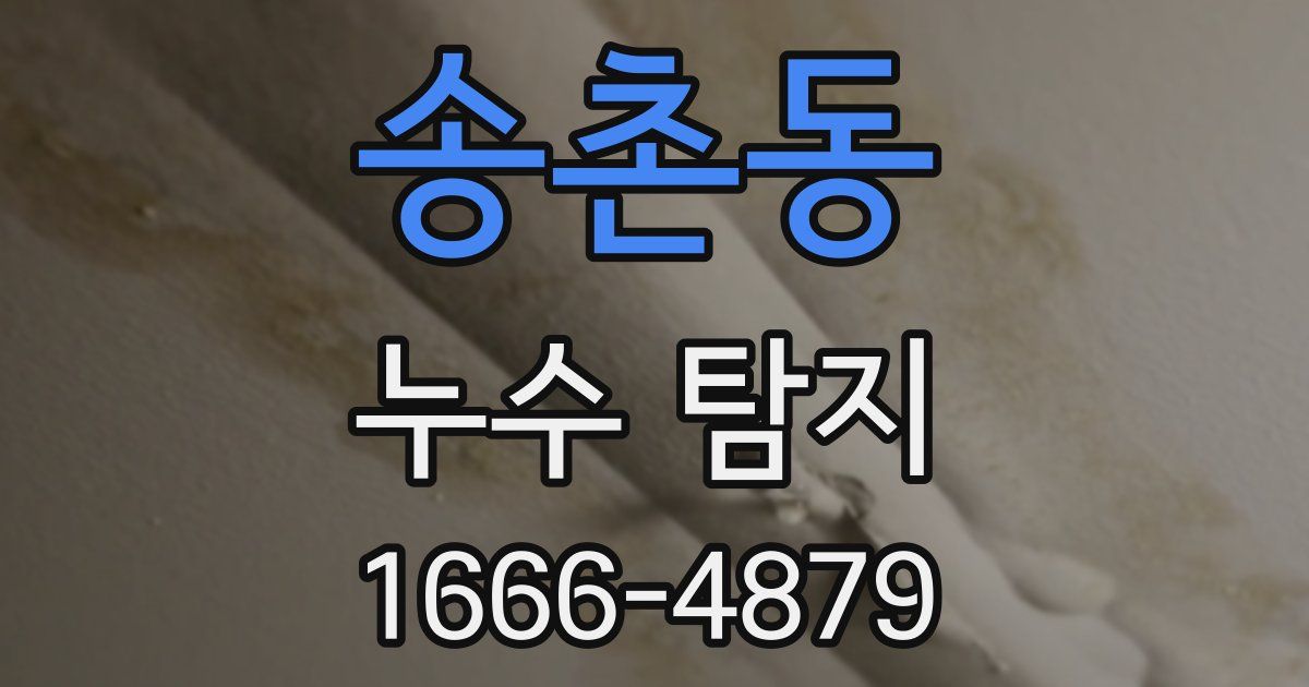 송촌동 누수 탐지