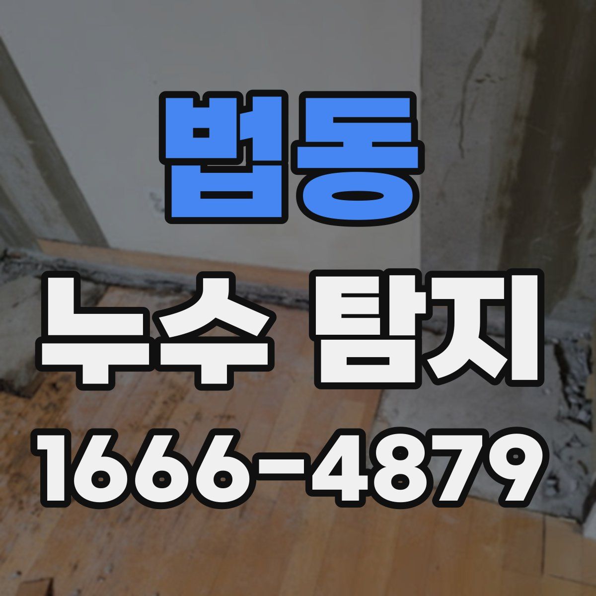 법동 누수 탐지