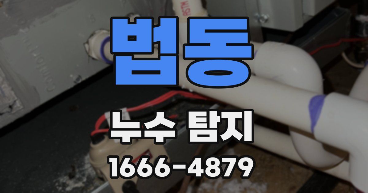 법동 누수 탐지