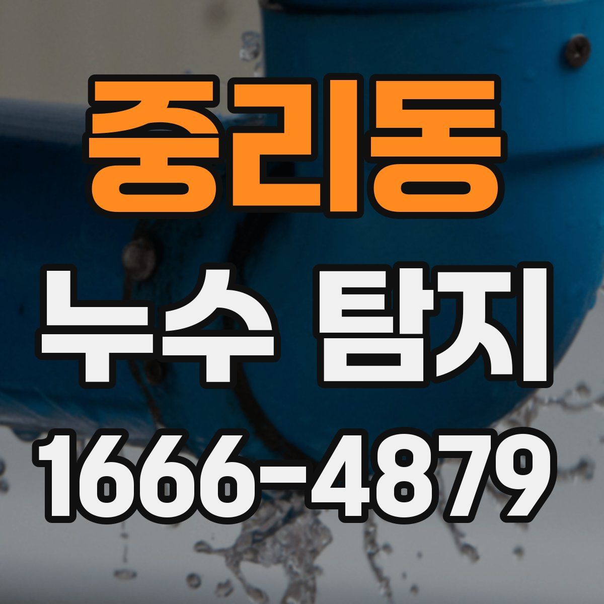 중리동 누수 탐지