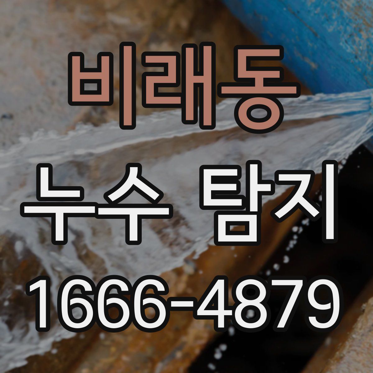 비래동 누수 탐지
