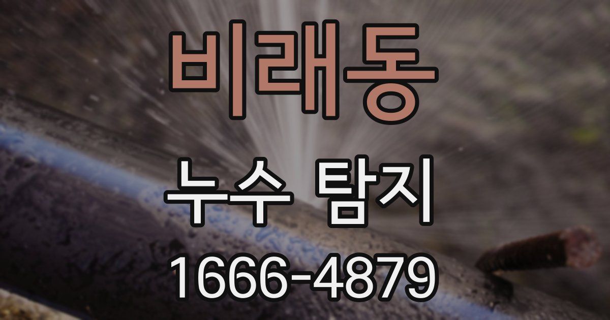 비래동 누수 탐지