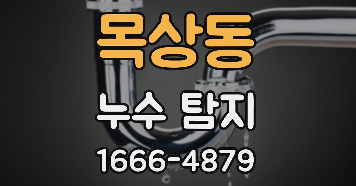 목상동 누수 탐지