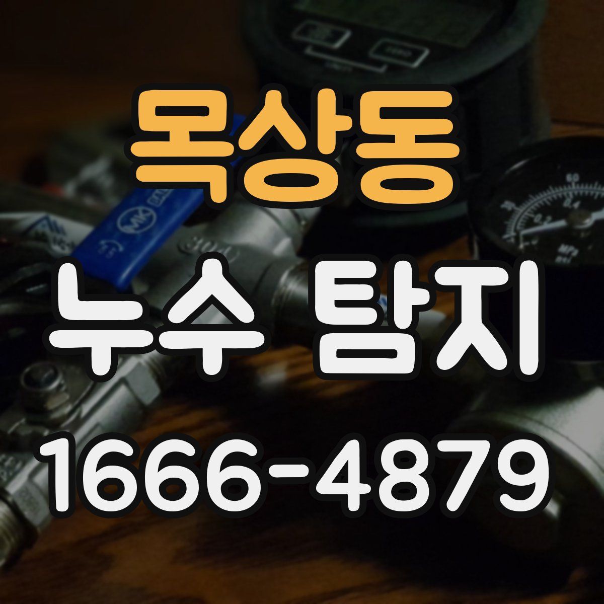 목상동 누수 탐지