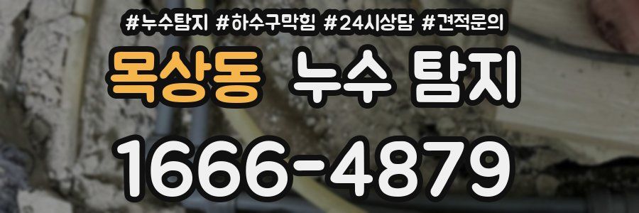 목상동 누수 탐지