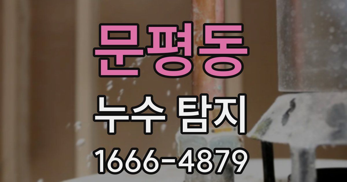 문평동 누수 탐지