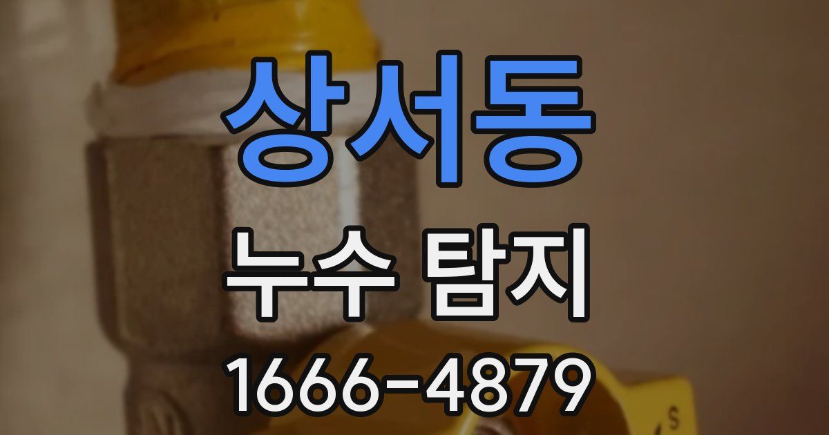 상서동 누수 탐지