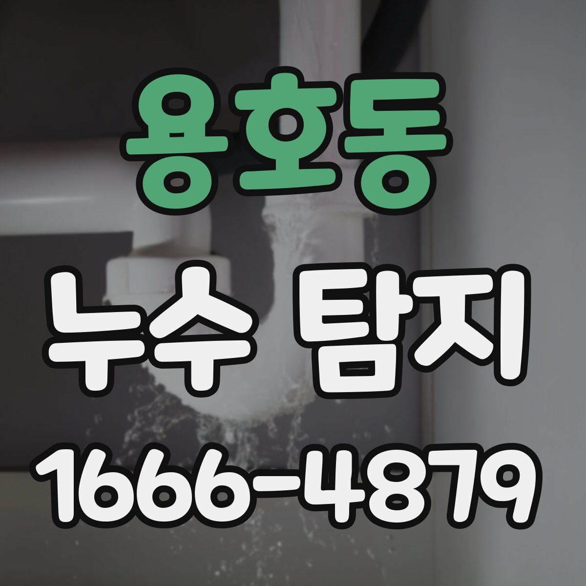 용호동 누수 탐지