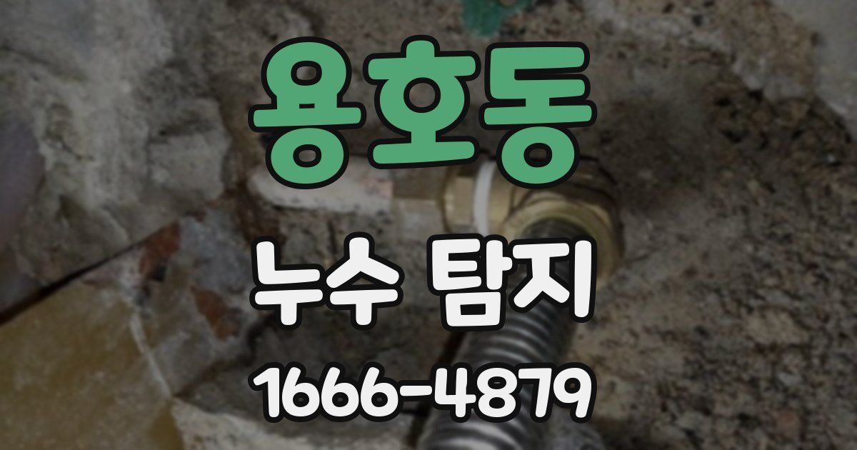 용호동 누수 탐지