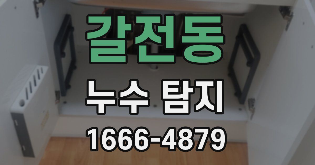 갈전동 누수 탐지