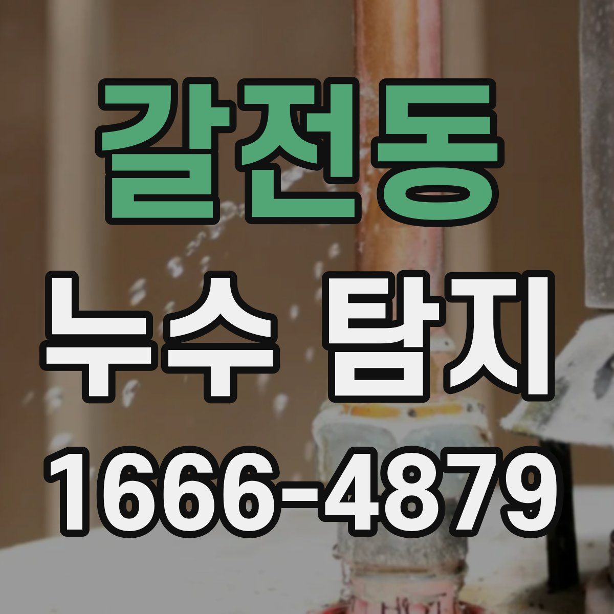 갈전동 누수 탐지