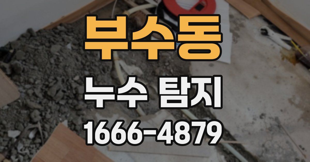부수동 누수 탐지