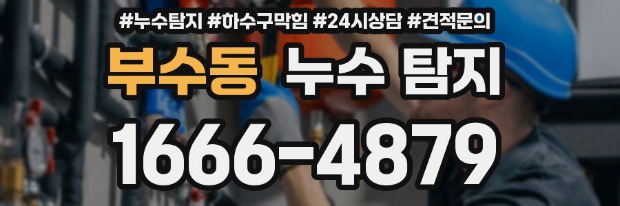 부수동 누수 탐지