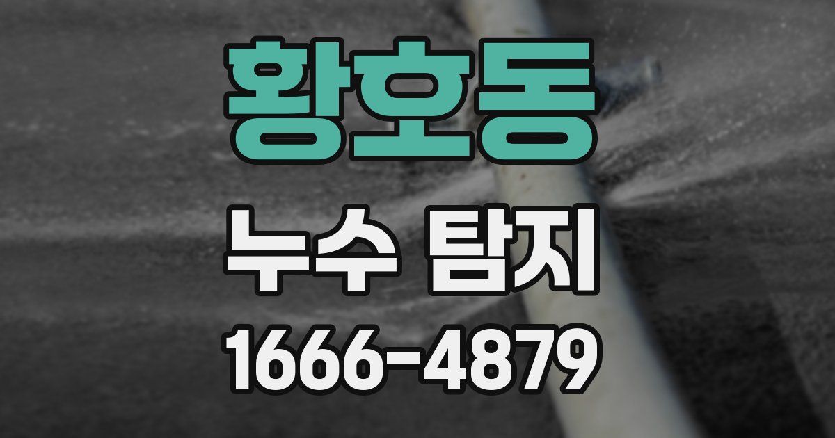 황호동 누수 탐지