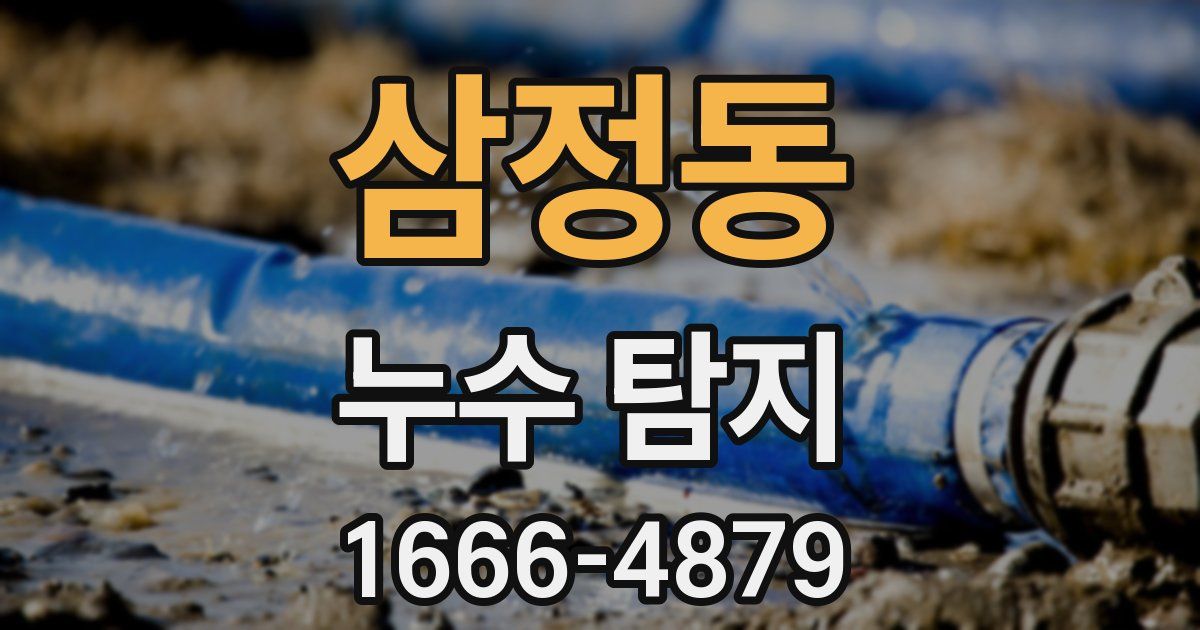 삼정동 누수 탐지