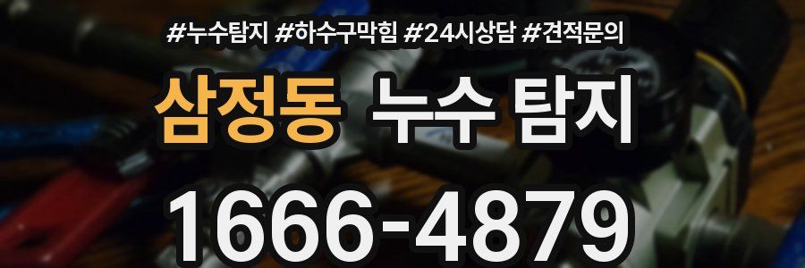삼정동 누수 탐지