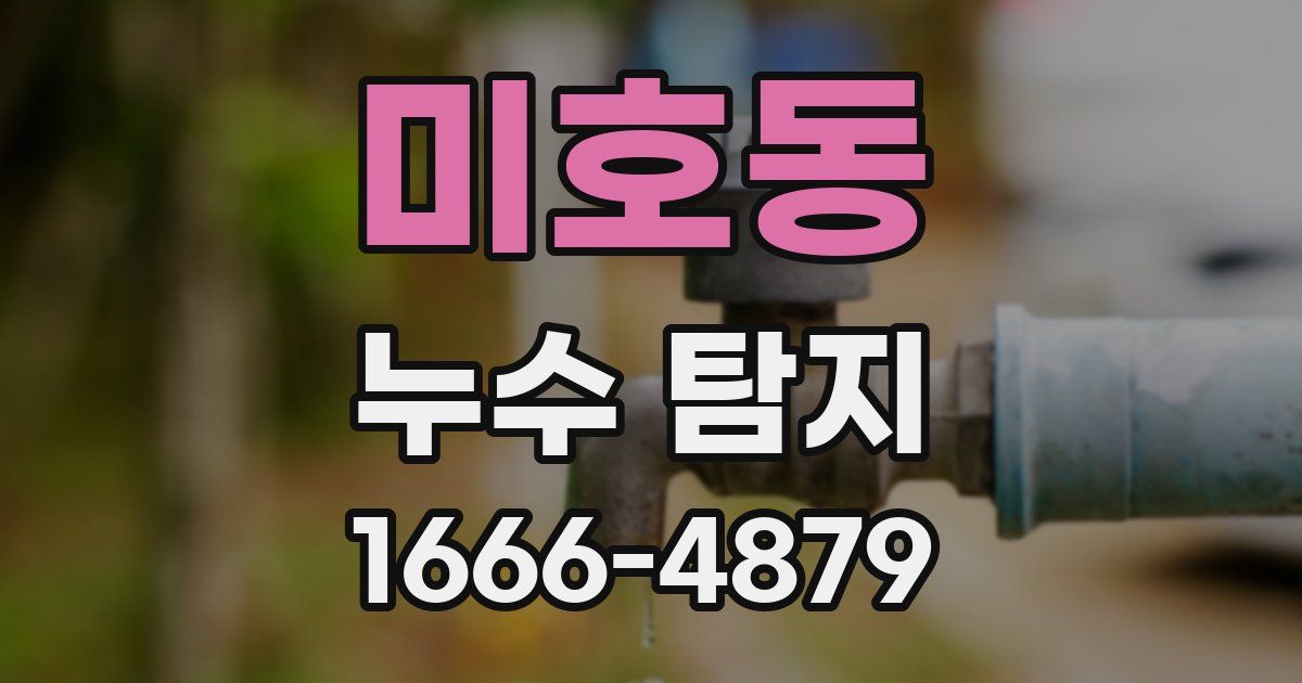 미호동 누수 탐지