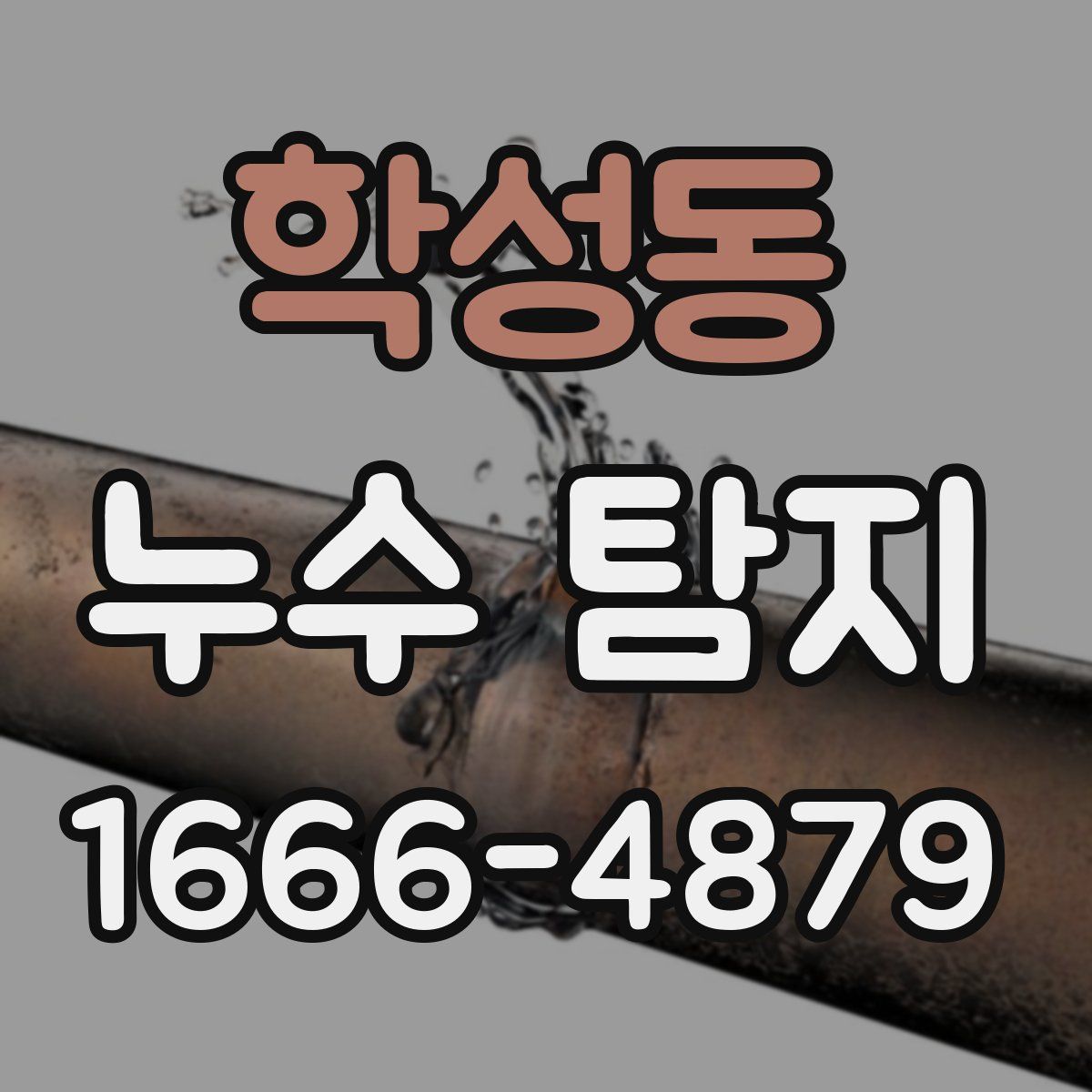 학성동 누수 탐지