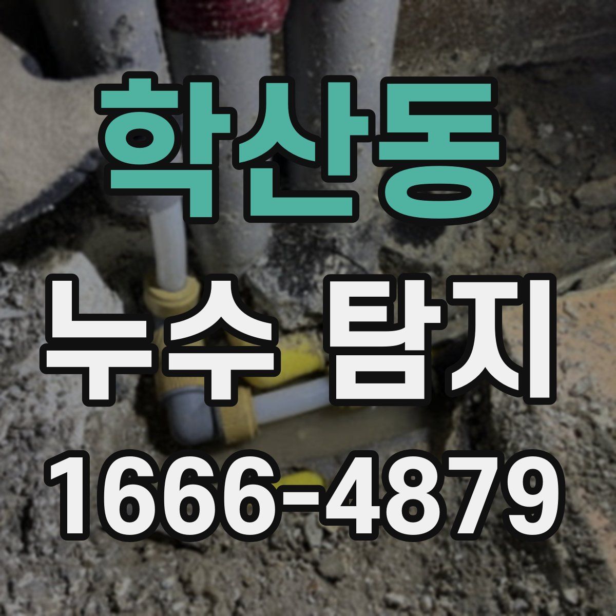 학산동 누수 탐지