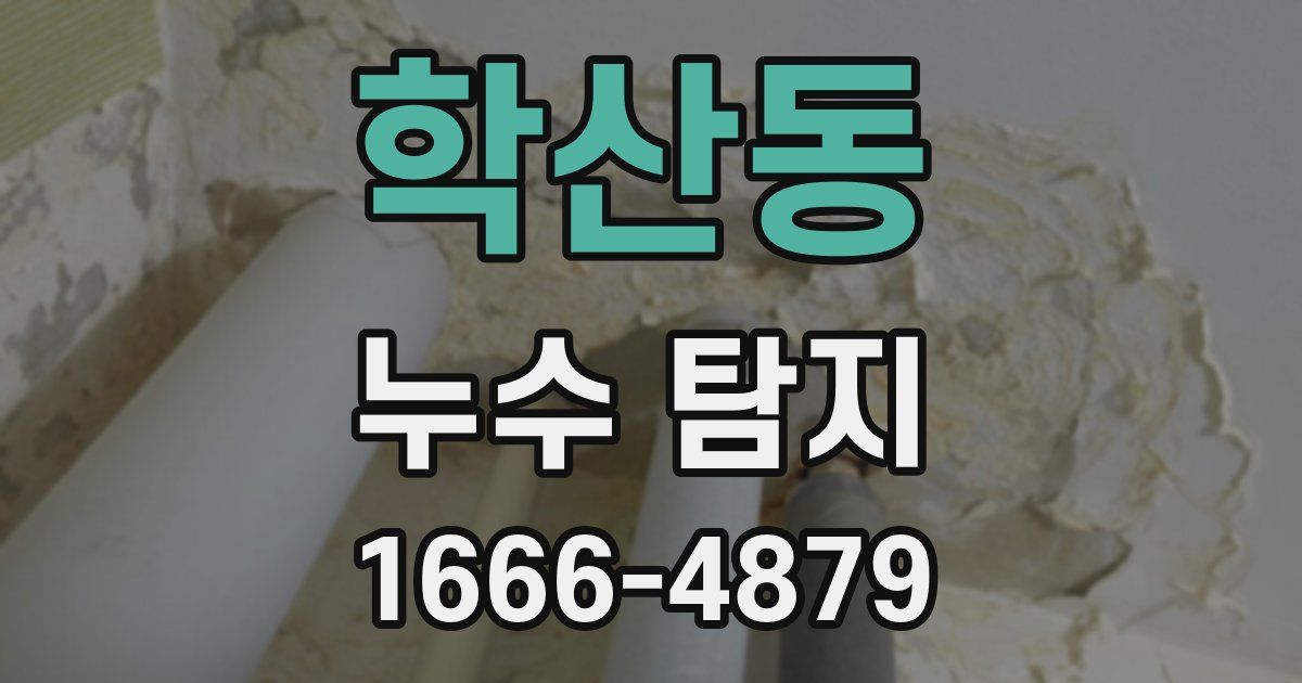 학산동 누수 탐지