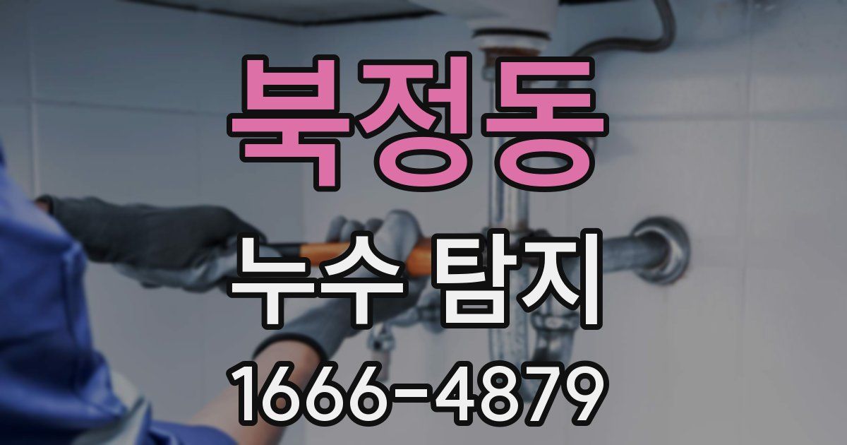 북정동 누수 탐지
