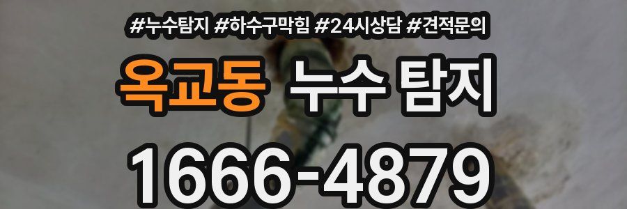 옥교동 누수 탐지