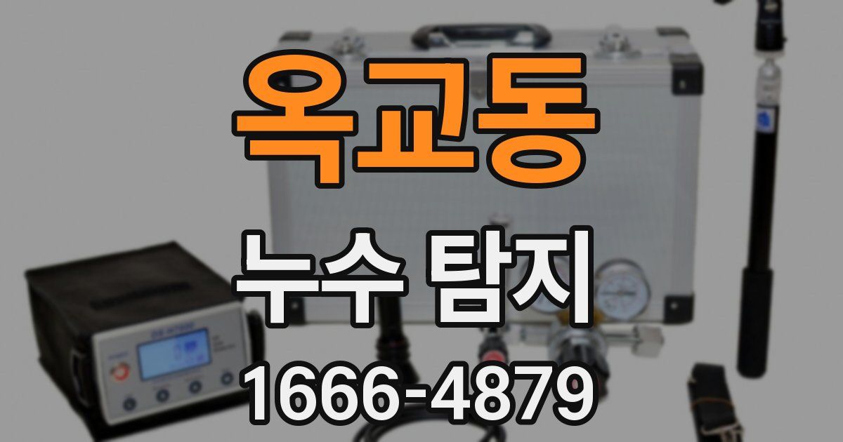 옥교동 누수 탐지