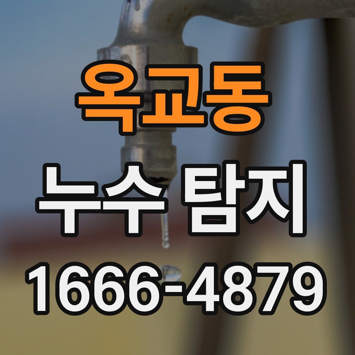 옥교동 누수 탐지