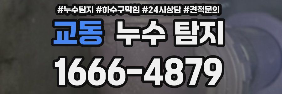 교동 누수 탐지