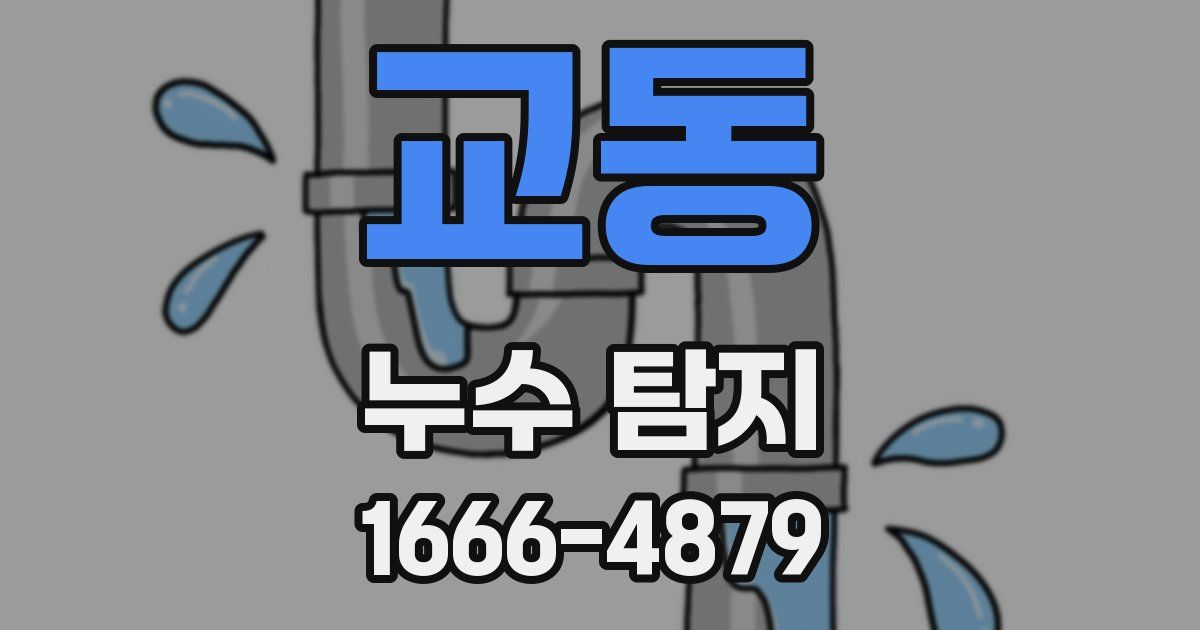 교동 누수 탐지