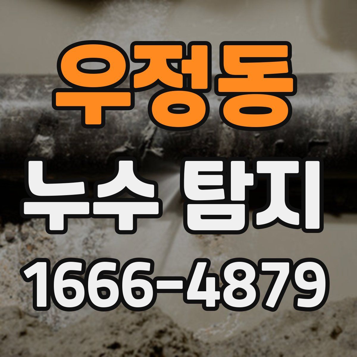 우정동 누수 탐지