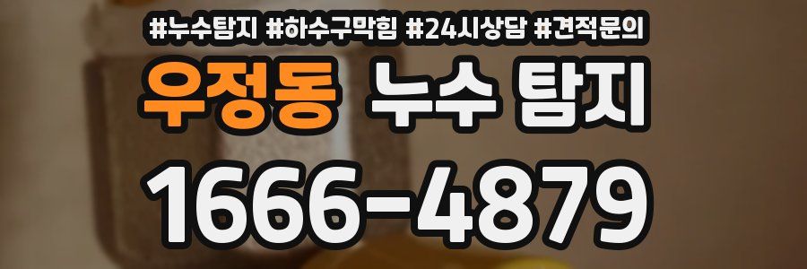 우정동 누수 탐지