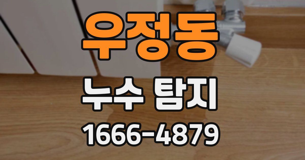 우정동 누수 탐지