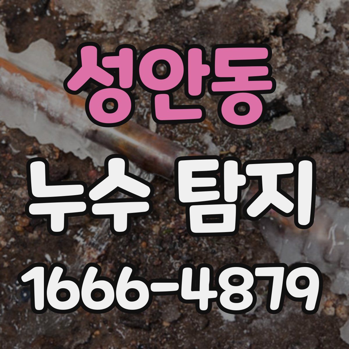 성안동 누수 탐지