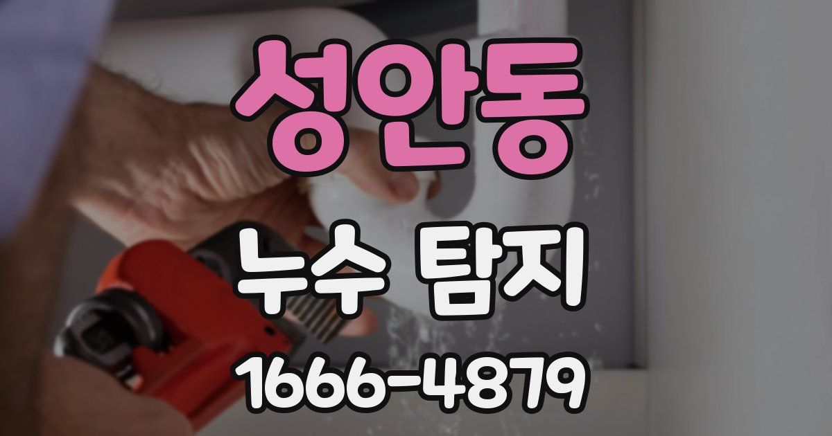 성안동 누수 탐지