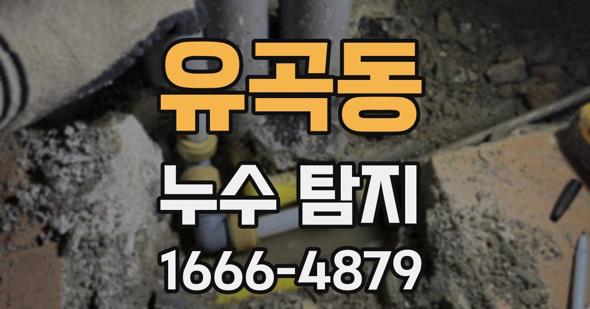 유곡동 누수 탐지