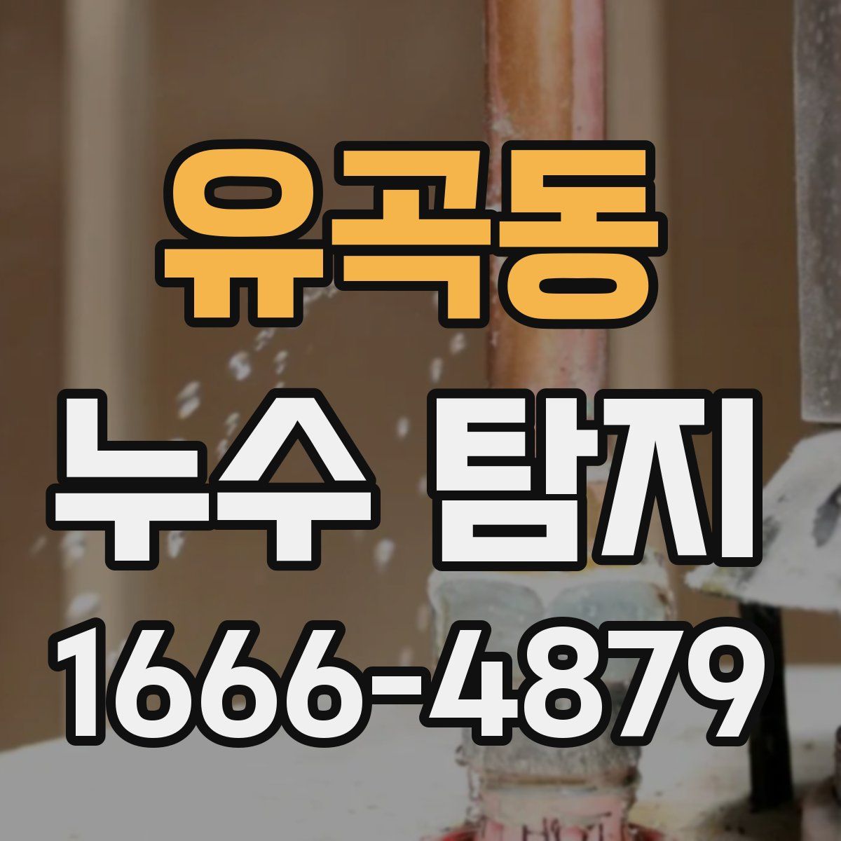 유곡동 누수 탐지