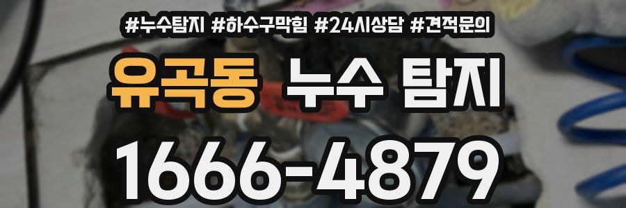 유곡동 누수 탐지