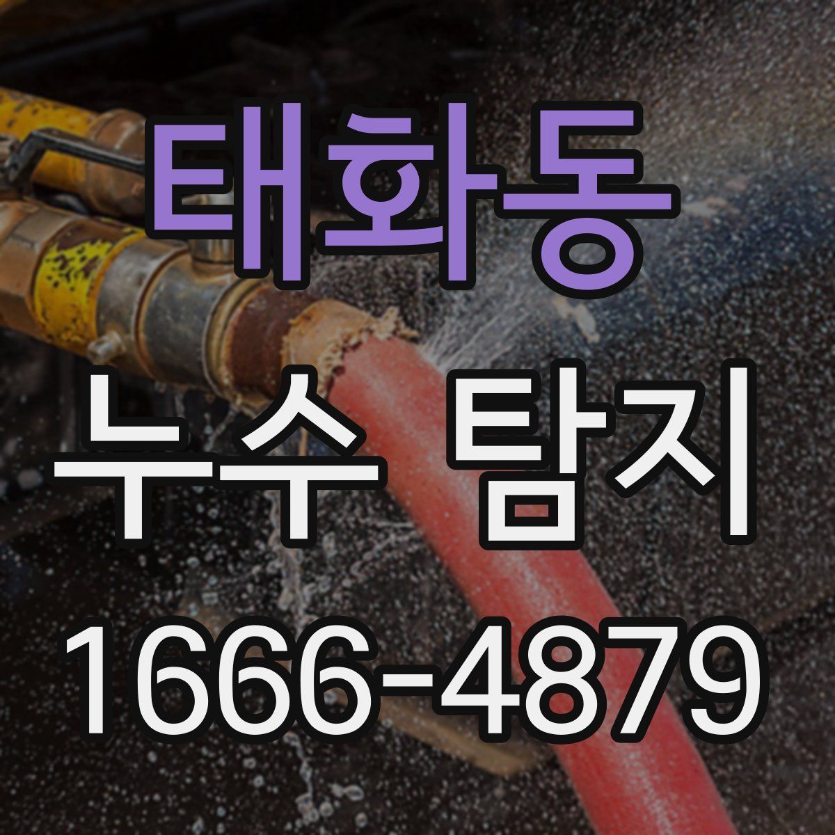 태화동 누수 탐지