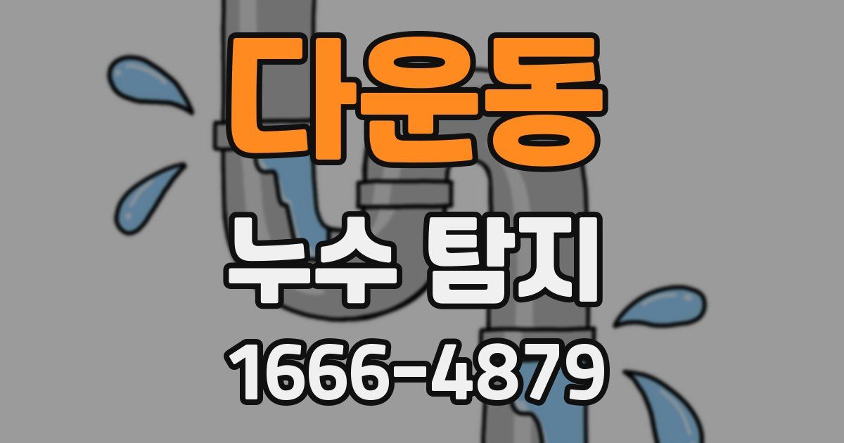 다운동 누수 탐지