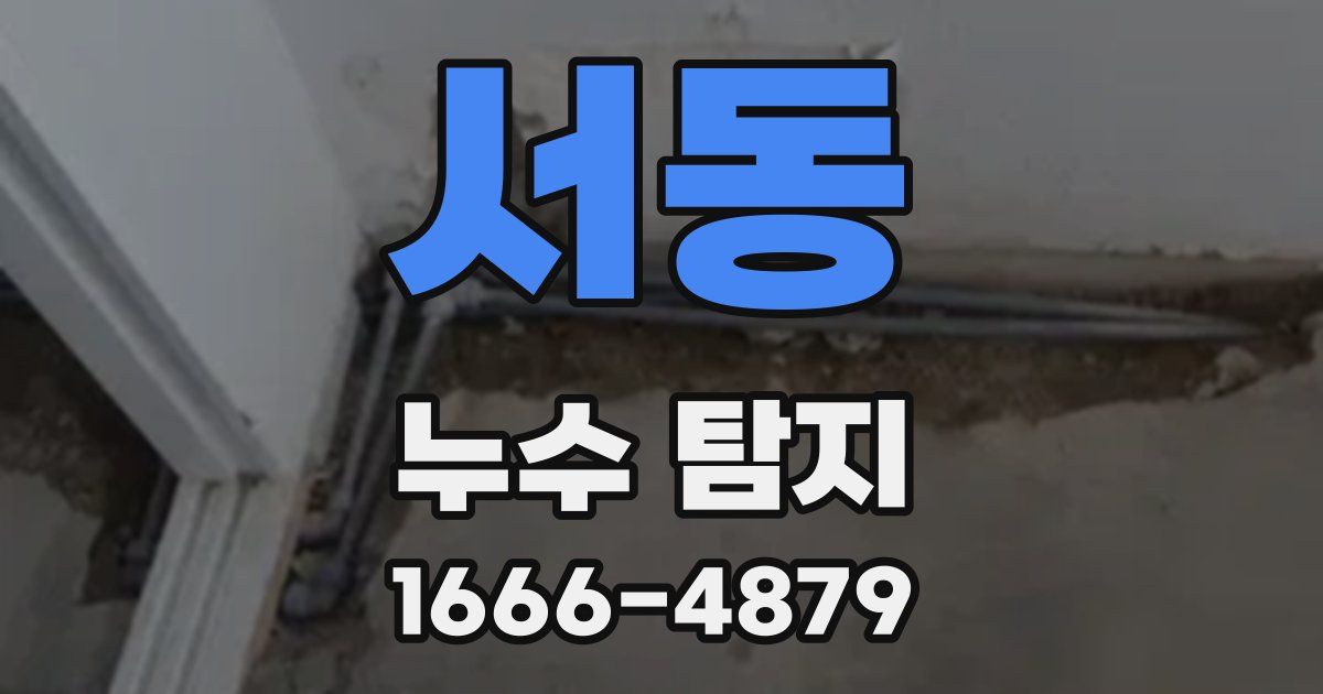서동 누수 탐지