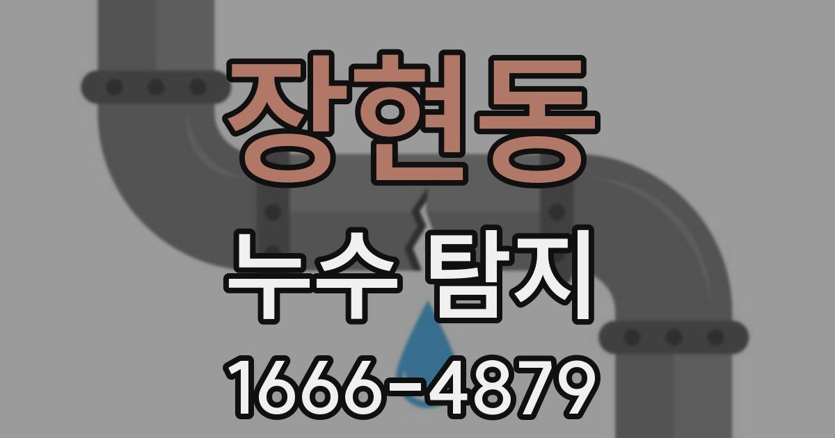장현동 누수 탐지