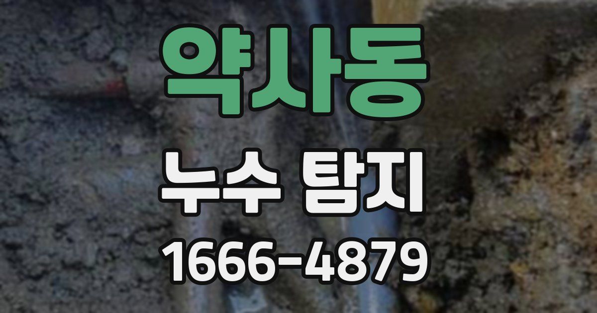약사동 누수 탐지