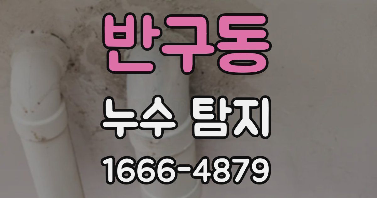 반구동 누수 탐지