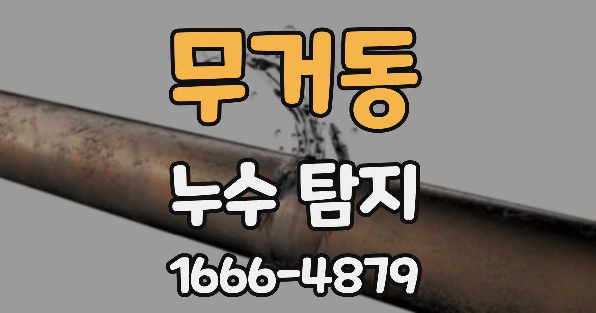 무거동 누수 탐지