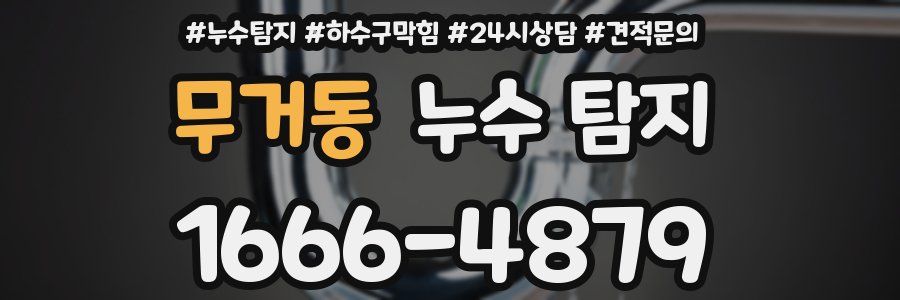 무거동 누수 탐지