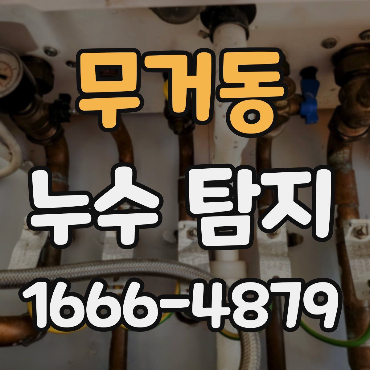 무거동 누수 탐지