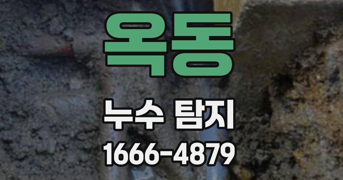 옥동 누수 탐지