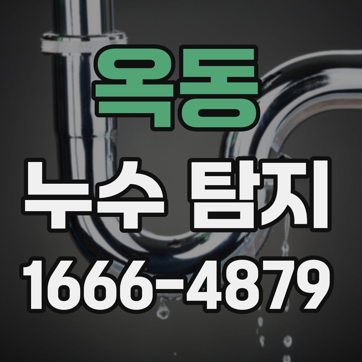 옥동 누수 탐지