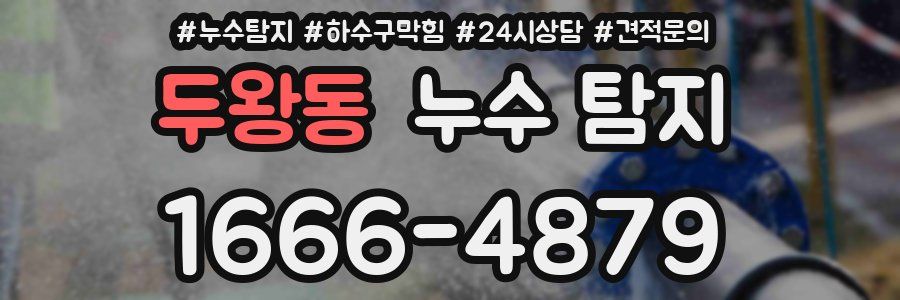 두왕동 누수 탐지